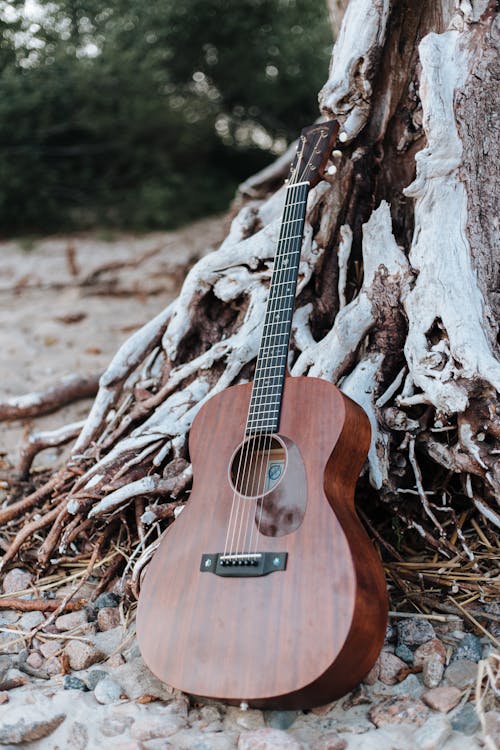 Kostnadsfri bild av akustisk gitarr, gitarr, instrument