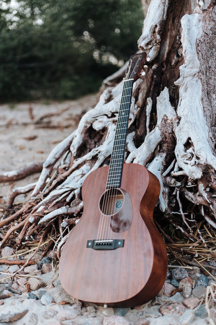 Guitar Left By The Tree On The Beach