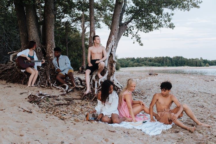 Friends Having Picnic On The Beach