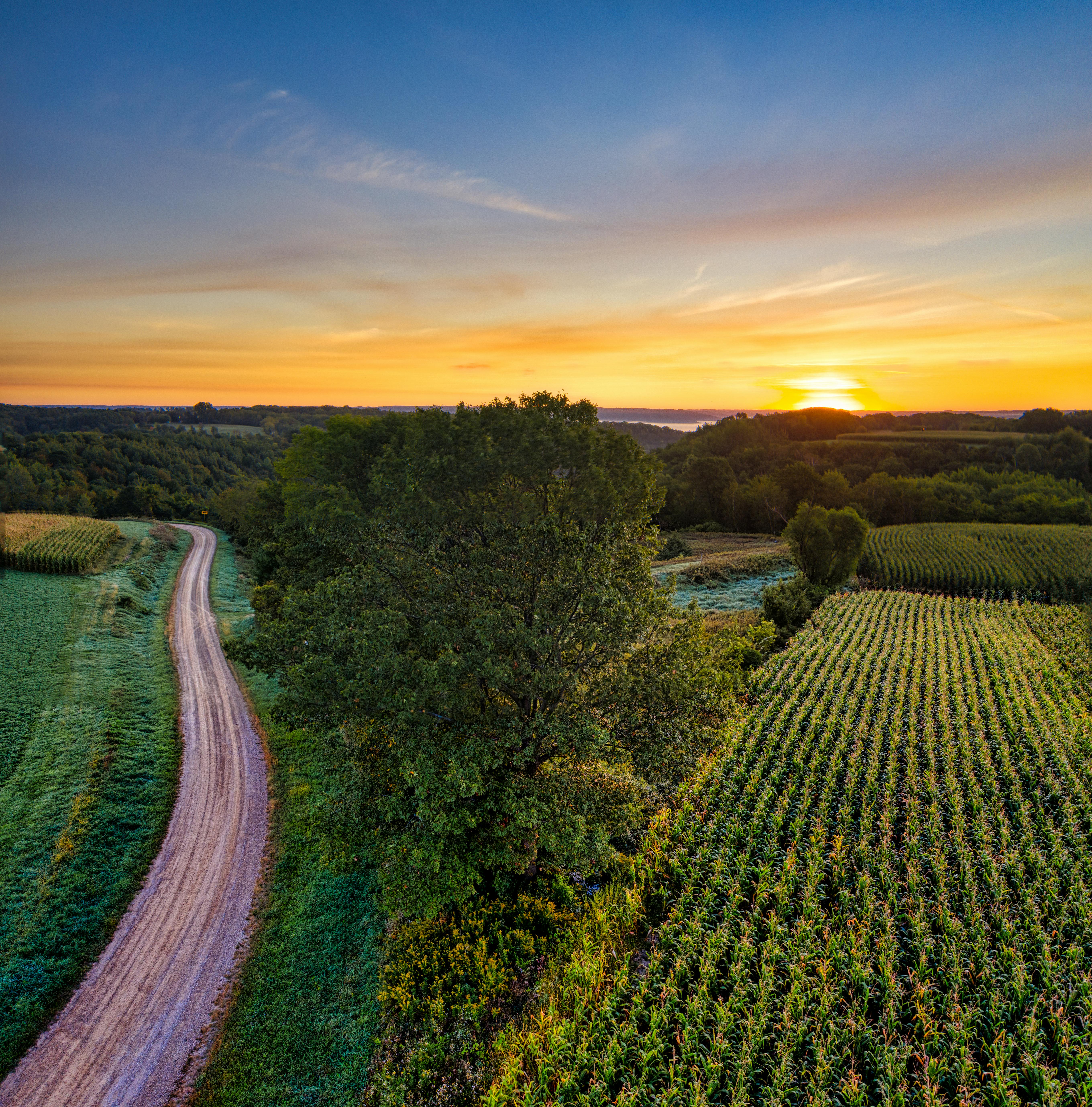 Kostnadsfria Kostnadsfri bild av åkermark, amerikansk landsbygd, beskära Stock foto
