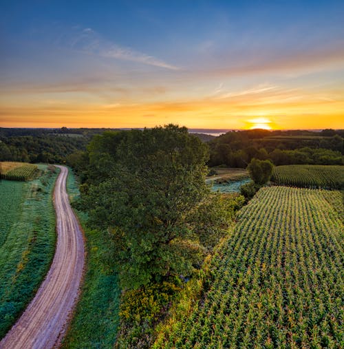 Základová fotografie zdarma na téma modrá obloha, orná půda, plantáž