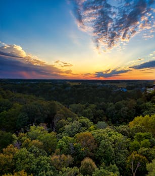 Captivating aerial photograph of a forest in Saint Charles, MN during a colorful sunset.