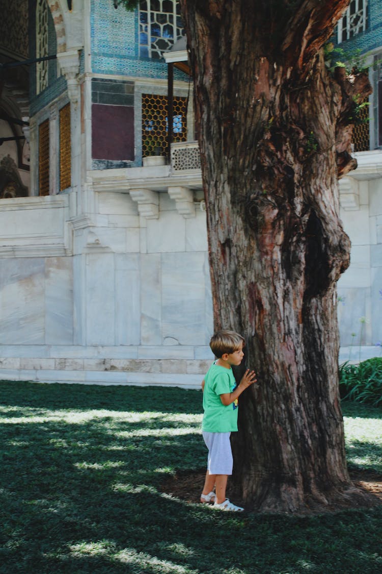 A Kid Hiding Behind A Big Tree