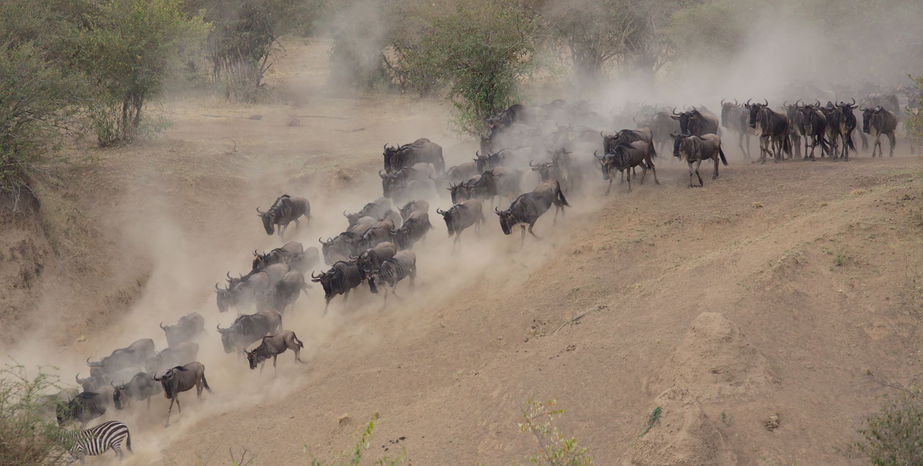 Serengeti, Tanzania