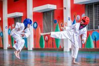 Boys in a Taekwondo Match