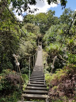 一座木制吊桥穿过夏威夷卡内奥赫茂密的热带森林