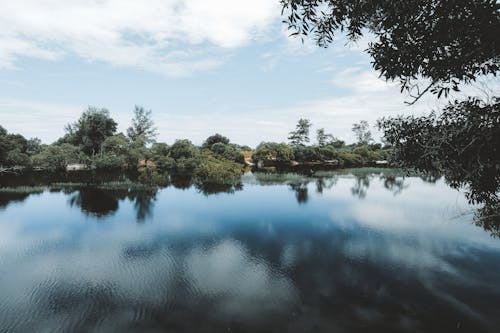 Δωρεάν στοκ φωτογραφιών με γαλήνιος, δέντρα, ήρεμο νερό