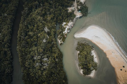 An Aerial View of an island with Green Trees