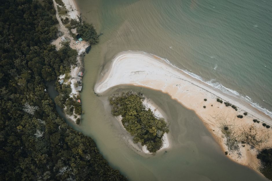 Stunning aerial view of a coastal forest area with a distinctive sandbank surrounded by green water.