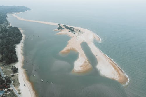 Foto profissional grátis de água, areia, árvores