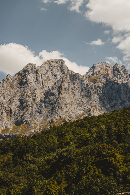 Free Stunning view of rocky mountains with lush trees and blue sky, perfect for nature enthusiasts. Stock Photo