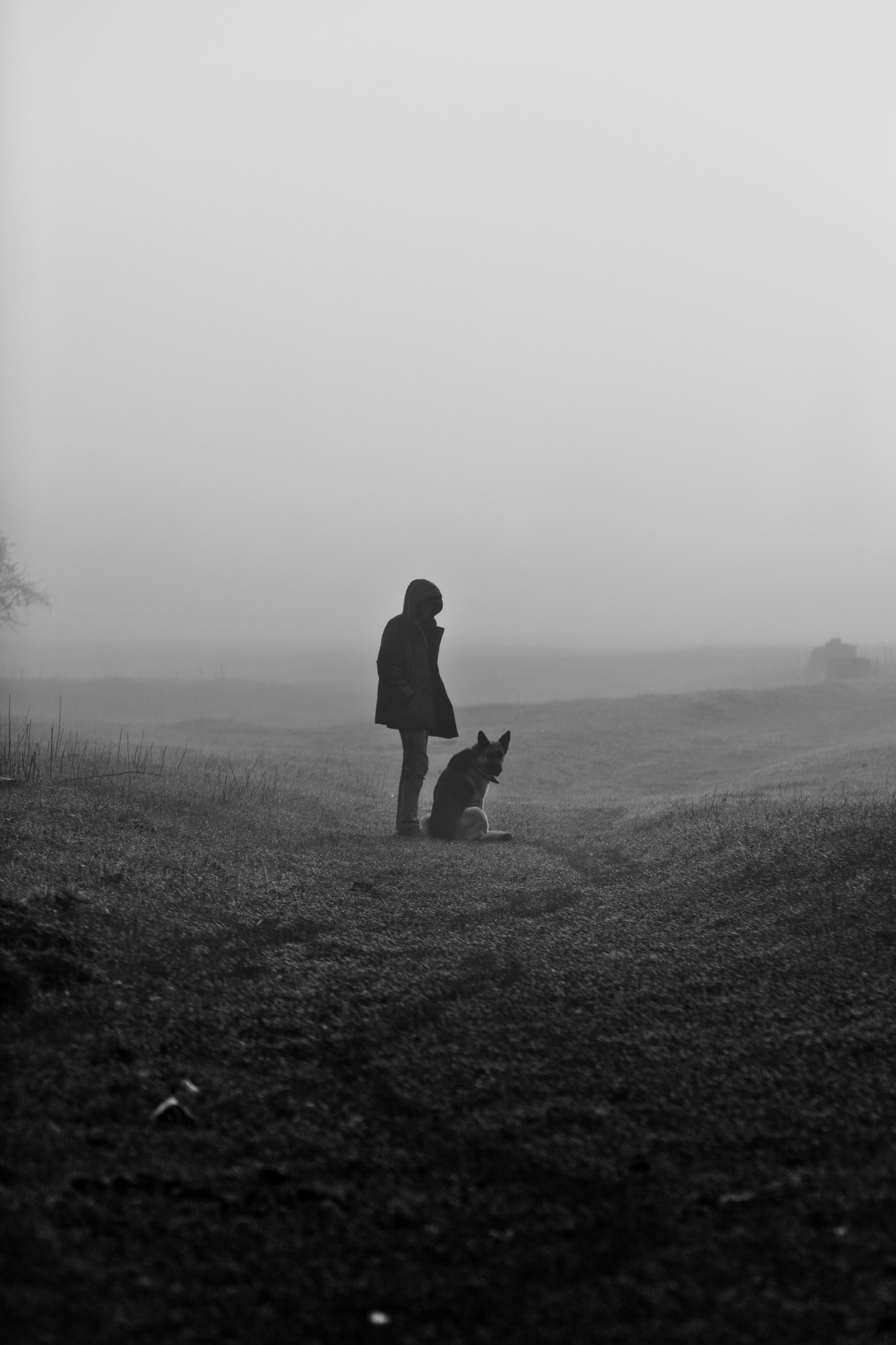 A person and their dog stand together in a mysterious, foggy field.