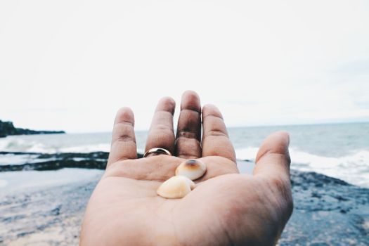 Close-up of hand holding shells with the serene Bali coastline in the background.