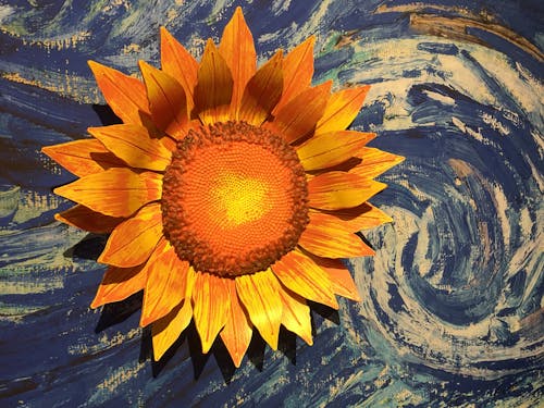 Free stock photo of sunflower, van gogh Stock Photo