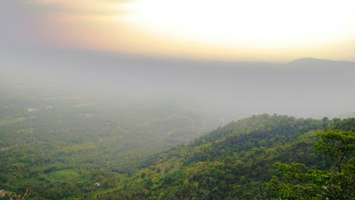 Aerial Photography of Trees Covered Mountain