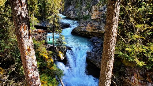 Free stock photo of alberta, banff, canada Stock Photo
