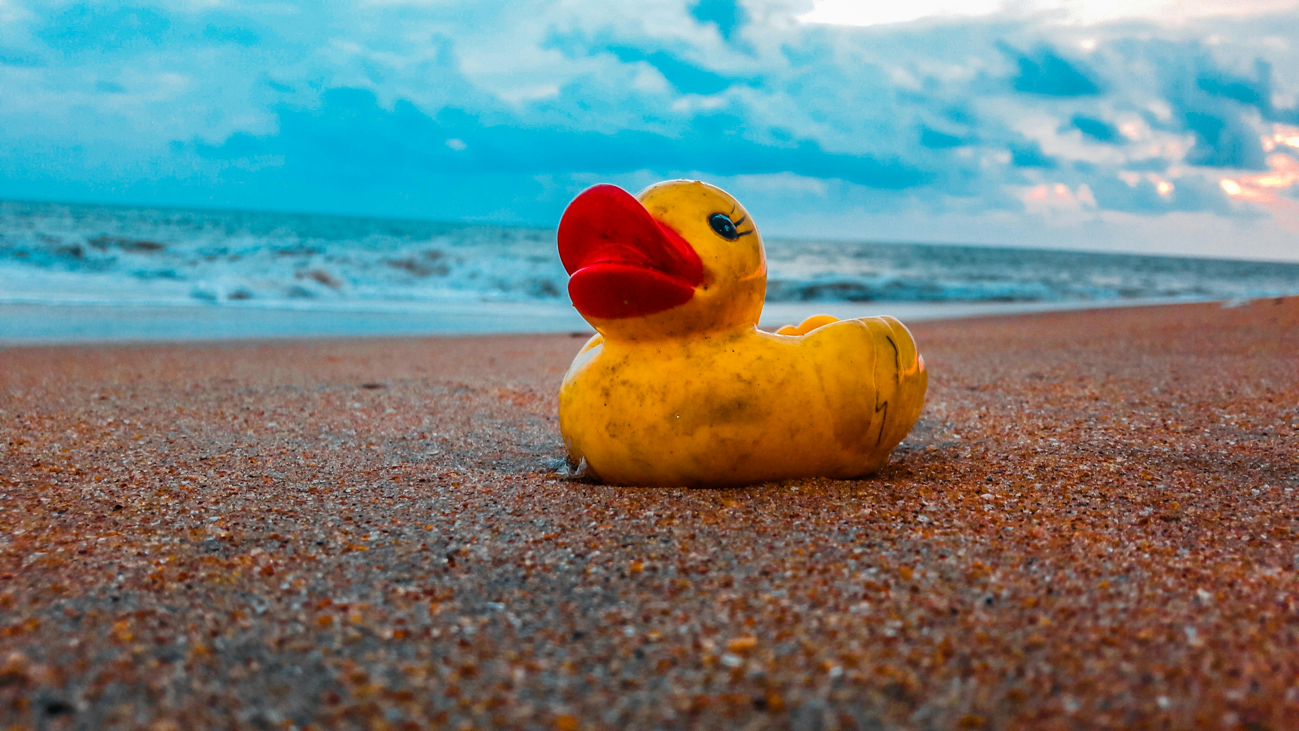 Photo of Yellow Rubber Duck Near Seashore · Free Stock Photo