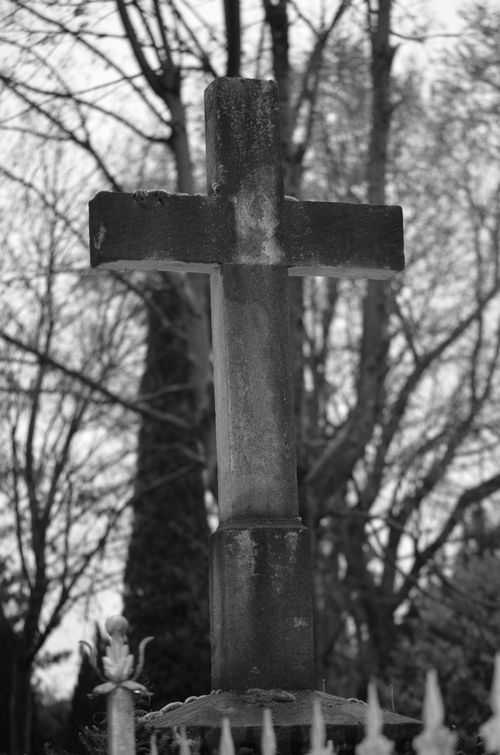 Free A grayscale photo of a cross monument surrounded by trees in a tranquil graveyard. Stock Photo