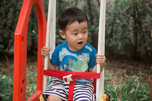 Free A Little Boy Sitting on a Swing Stock Photo