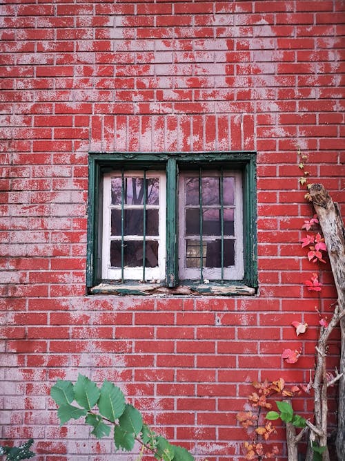 Darmowe zdjęcie z galerii z cegła, jesień, kanada