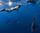 ocean adventure