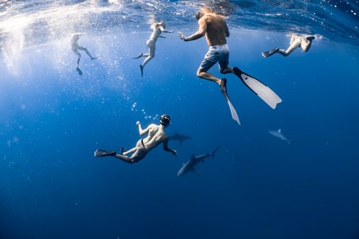 A group of divers explores the ocean depths alongside sharks, enjoying the thrill of underwater adventure.