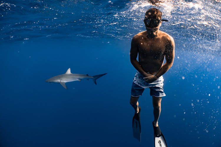 Man Swimming With Shark