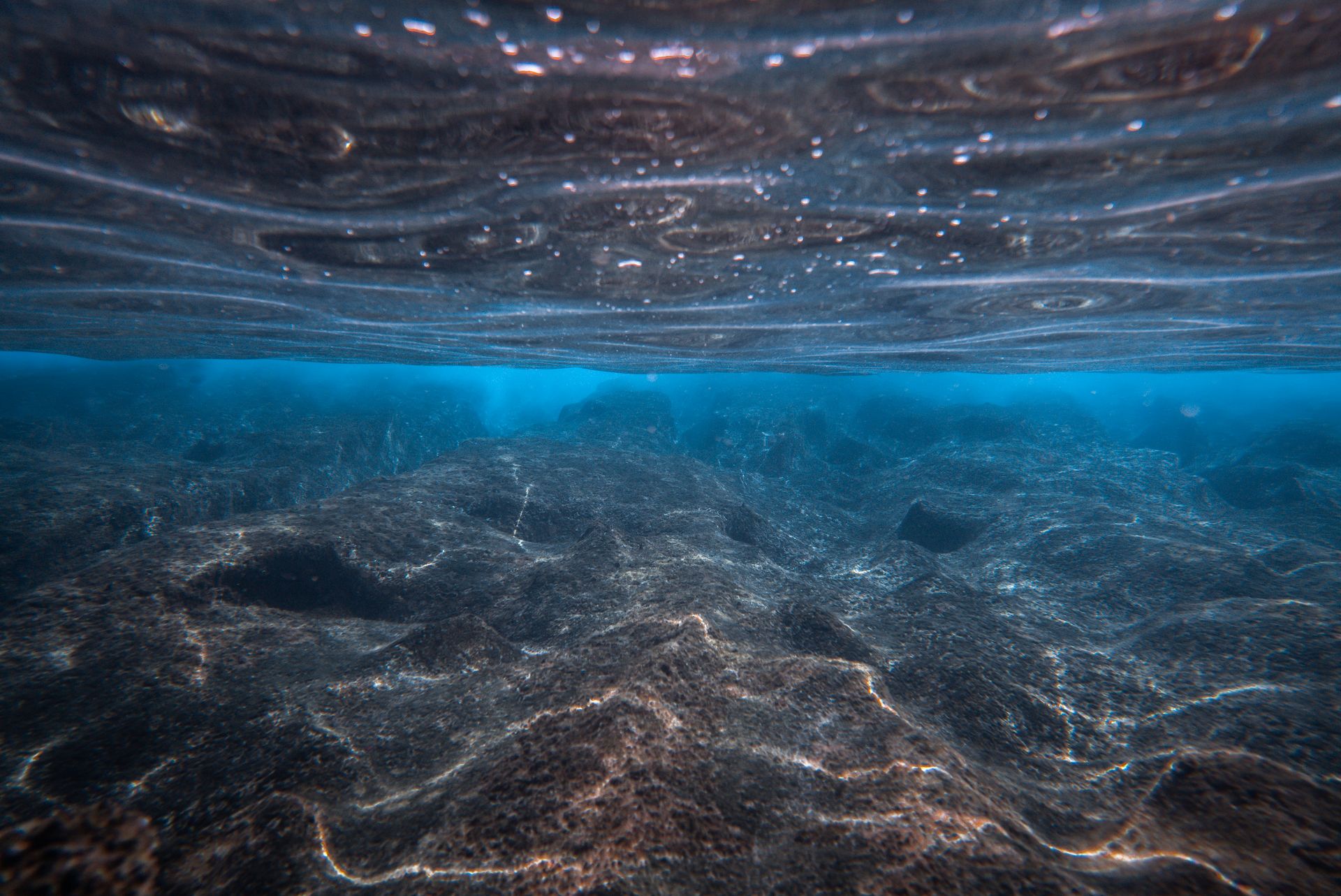 Underwater at Polar Cod Flats