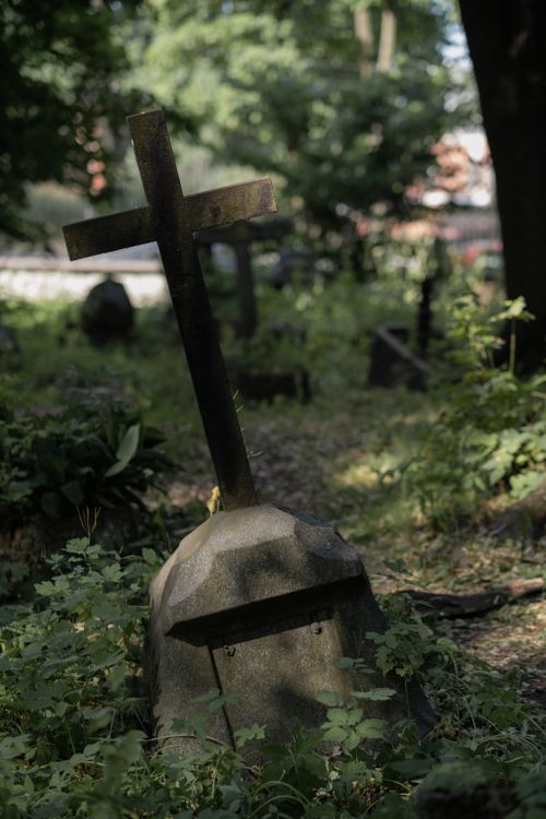 Free A tranquil cemetery scene with a worn stone cross surrounded by green foliage and forest shadows. Stock Photo