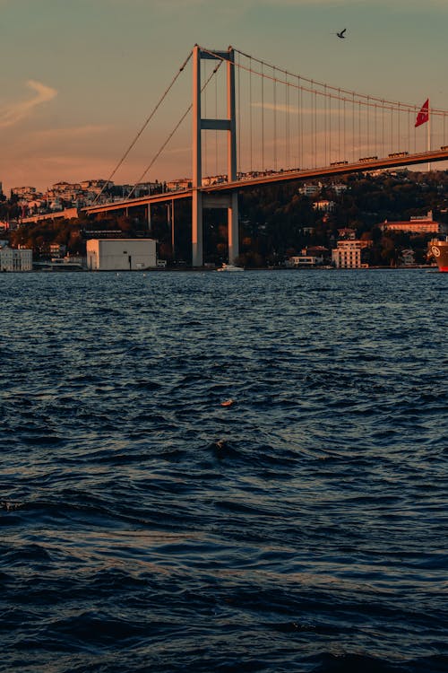 Gratis stockfoto met bosphorus, brug, gebied met water