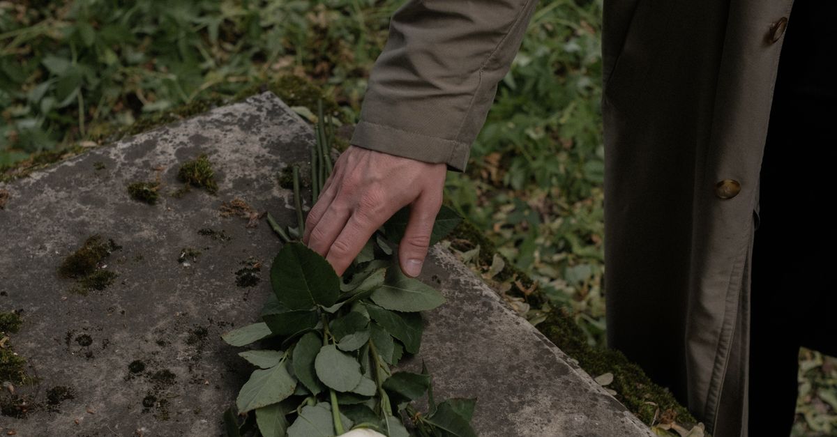 Rüyada Cenaze Aracı Sürmek - Rüya Tabiri ve Anlamı - açık hava, anı, Aşk içeren Ücretsiz stok fotoğraf