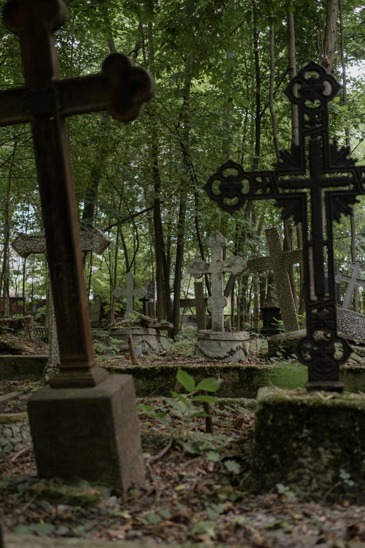 Graves In A Cemetery