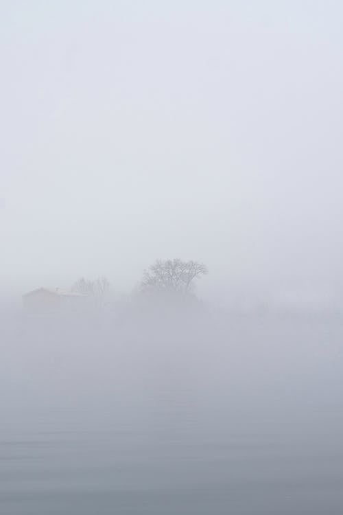 Free Thick Fog Stock Photo