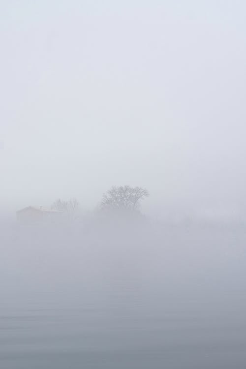 Foto profissional grátis de denso, enevoado, garoa