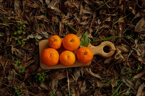 Overhead Shot of Oranges on Dried Leaves