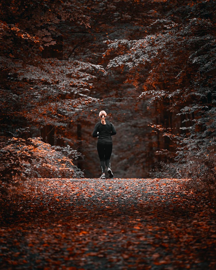 Woman In Black Long Sleeves And Leggings Walking On Pathway Between Trees 