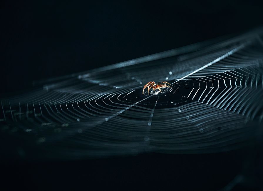 Ridding The Web Of The Xss Scourge Ridding The Web Of The Xss Scourge