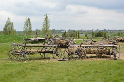 Wooden Wagons with Hay on a Field