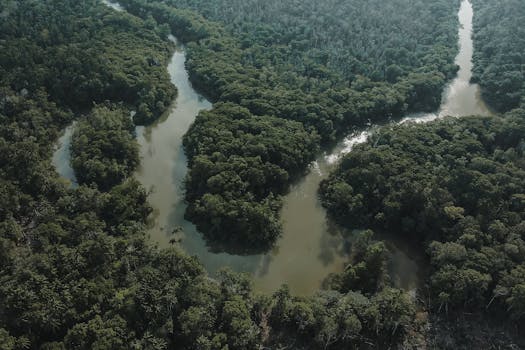 Drone shot of a winding river flowing through a dense green forest, offering a stunning aerial perspective.