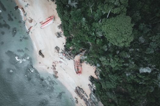 Iriomote jungle kayak — Okinawa