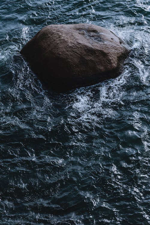 Immagine gratuita di bagnato, corpo d'acqua, natura