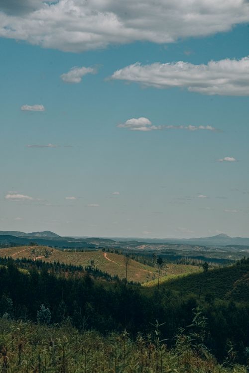 Free Breathtaking landscape of rolling hills under a blue sky in Proença-a-Nova, Portugal. Stock Photo