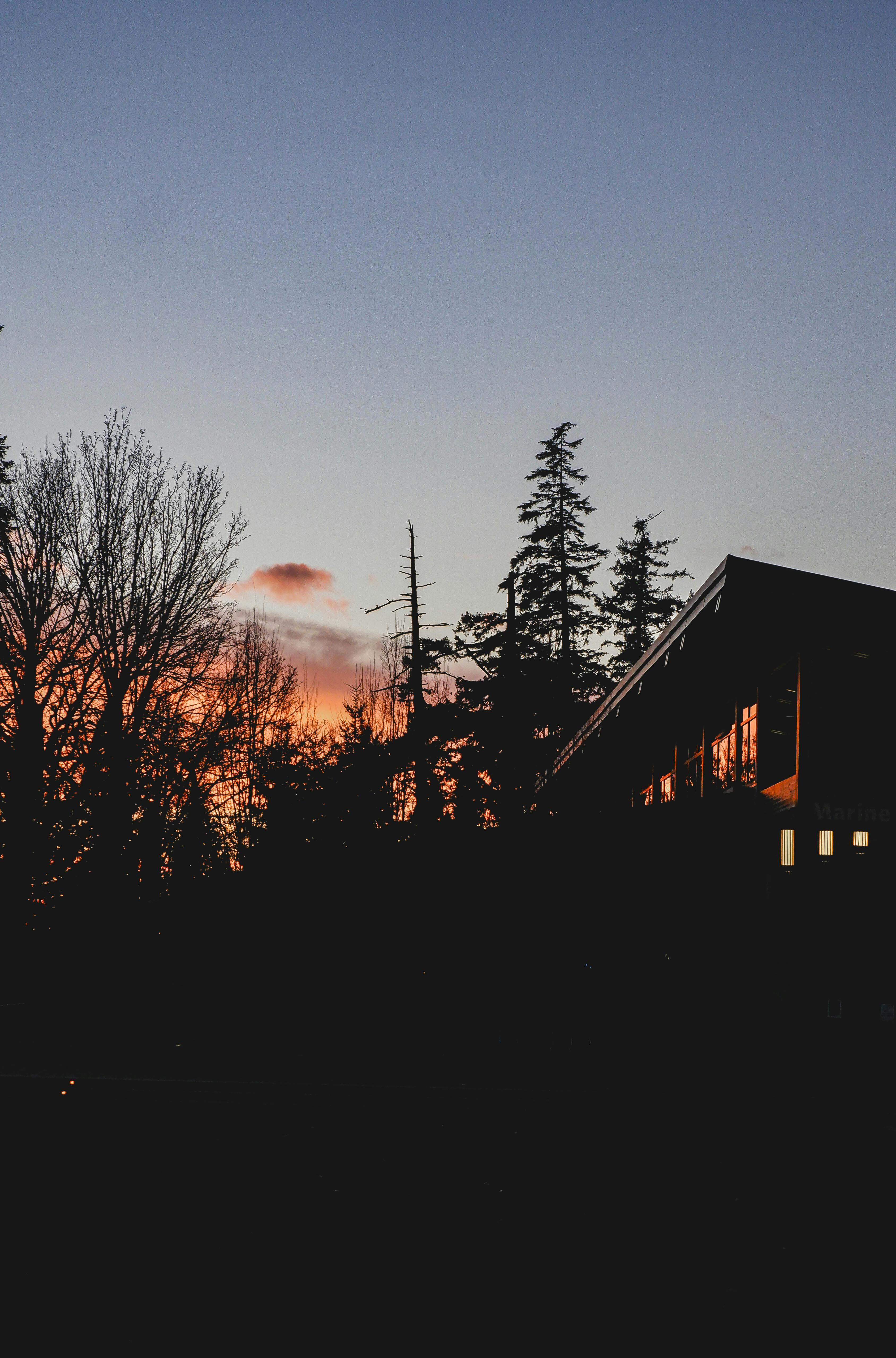 A serene silhouette of trees and a house against a colorful sunset sky.