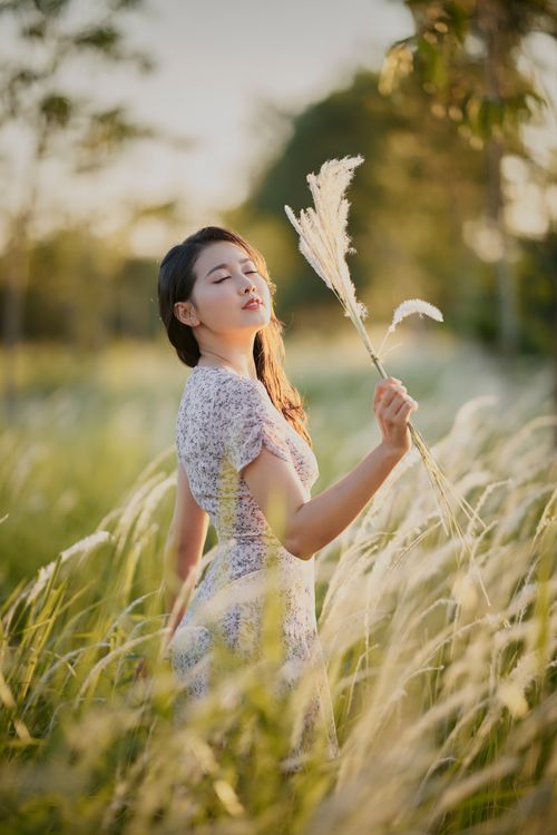 Free Asian woman in floral dress posing in a sunlit field holding grass. Stock Photo