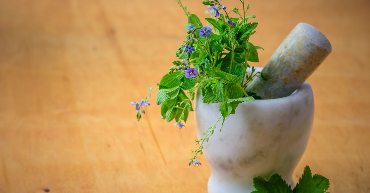 How to cut basil leaves from plant for cooking