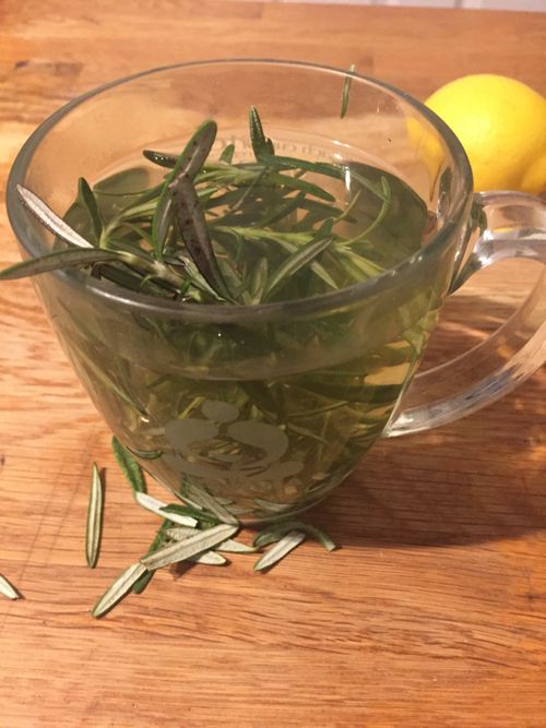 Free stock photo of fresh rosemary, medicinal herb tea, medicinal herbs Stock Photo