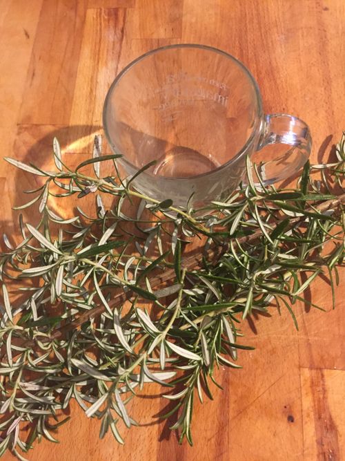 Free stock photo of fresh rosemary, medicinal herb tea, medicinal herbs Stock Photo