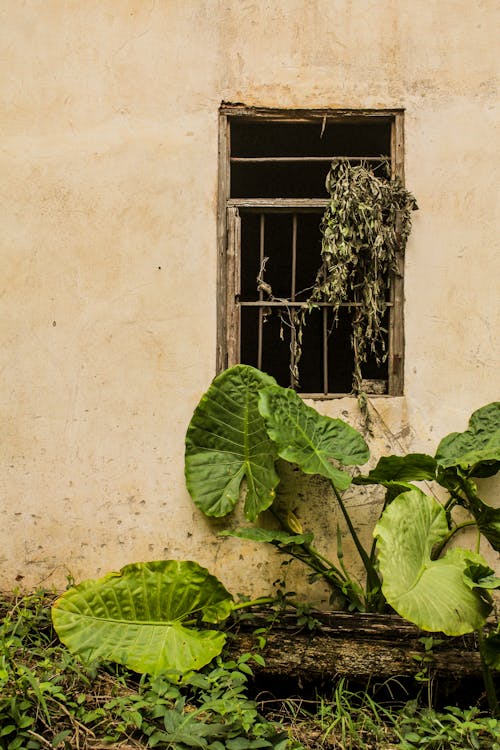 Foto d'estoc gratuïta de abandonat, espatllat, exterior