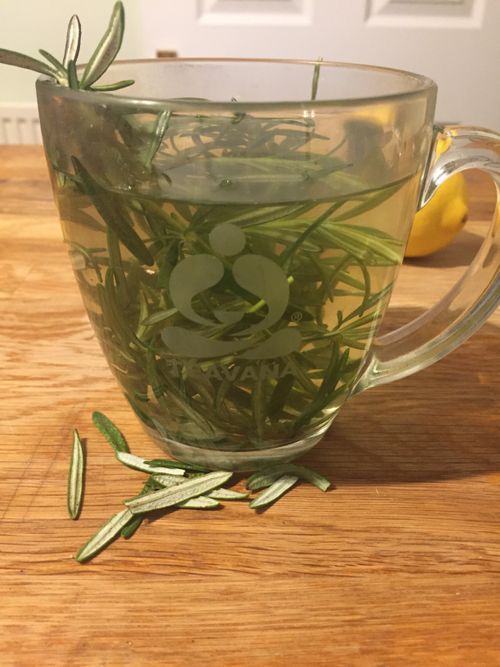Free stock photo of herbal remedies, herbal tea, medicinal herbs Stock Photo
