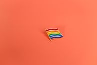 Rainbow Flag Pin